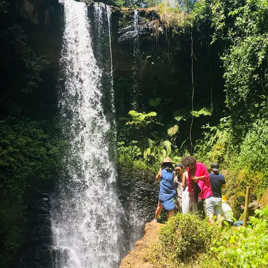 gatura farm (2)
