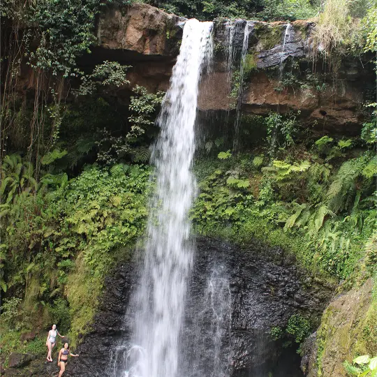 gatura farm (3)